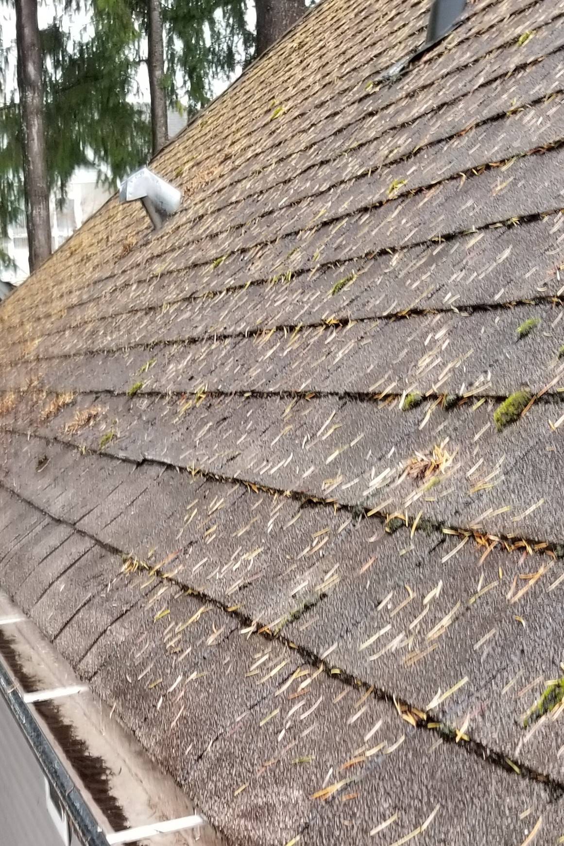 20181029_114507(2)